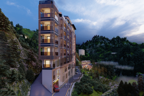 Hamlett Inn 's Land -The Mingate HCC